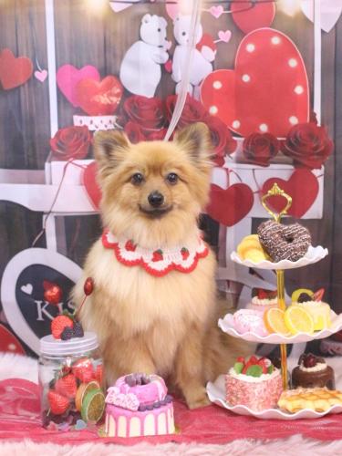 20250225ららちゃん